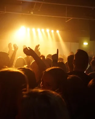 My Hero Academia In Concert